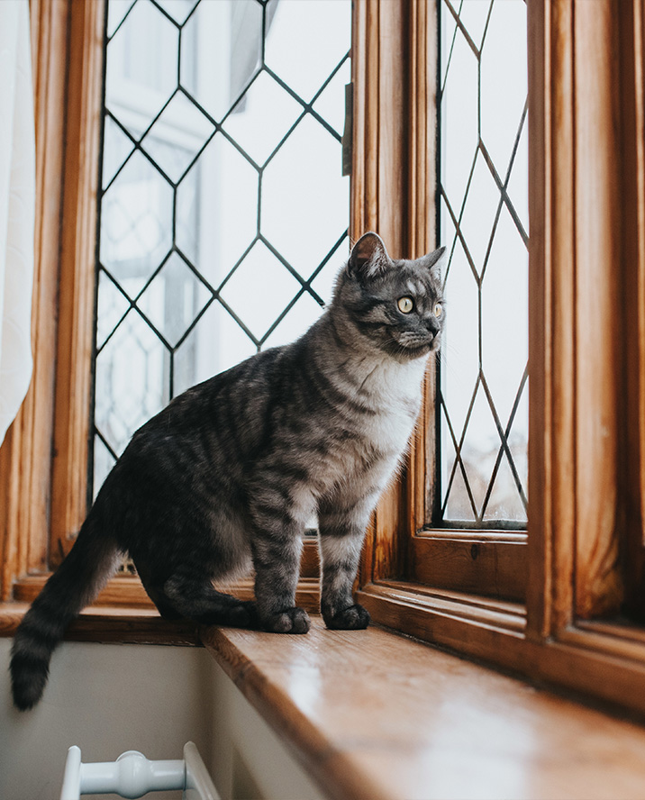 drveni elementi tihos